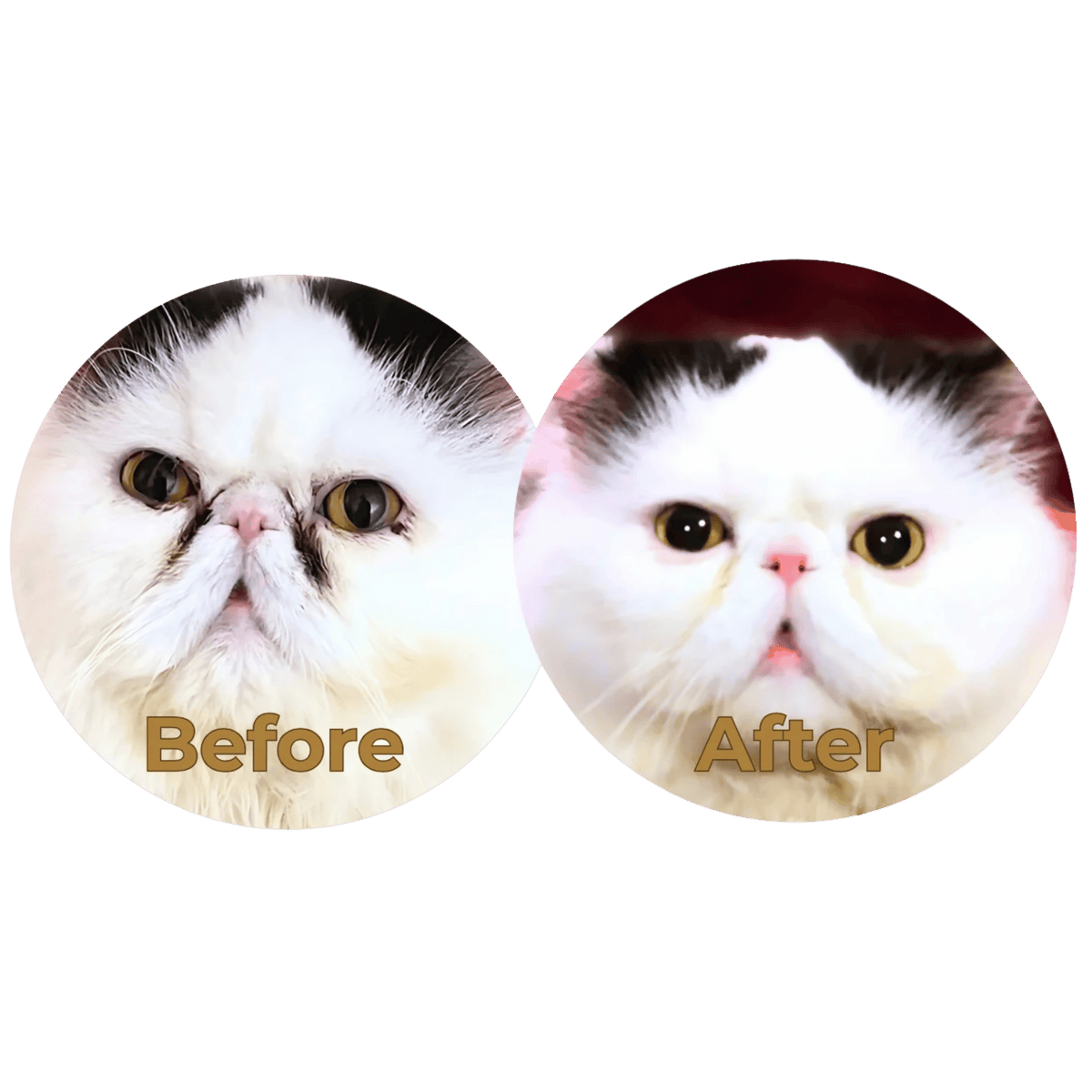 Wink-Eye Powder - Пудра за петна от сълзи и грижа за околоочната зона при котки и кучета