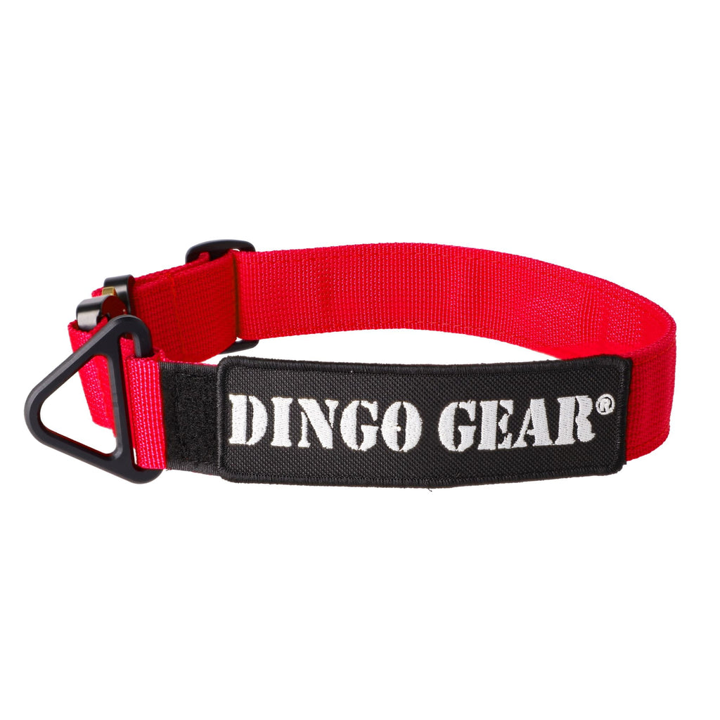 Dingo Gear – тактически нашийник COBRA – изработен от полипропиленова лента, без дръжка