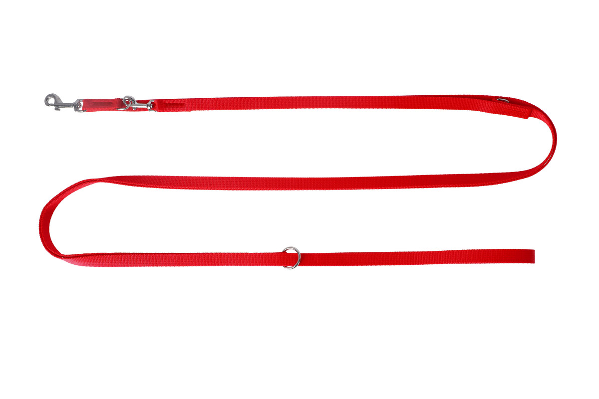Lesă din bandă extensibilă – 4 metri