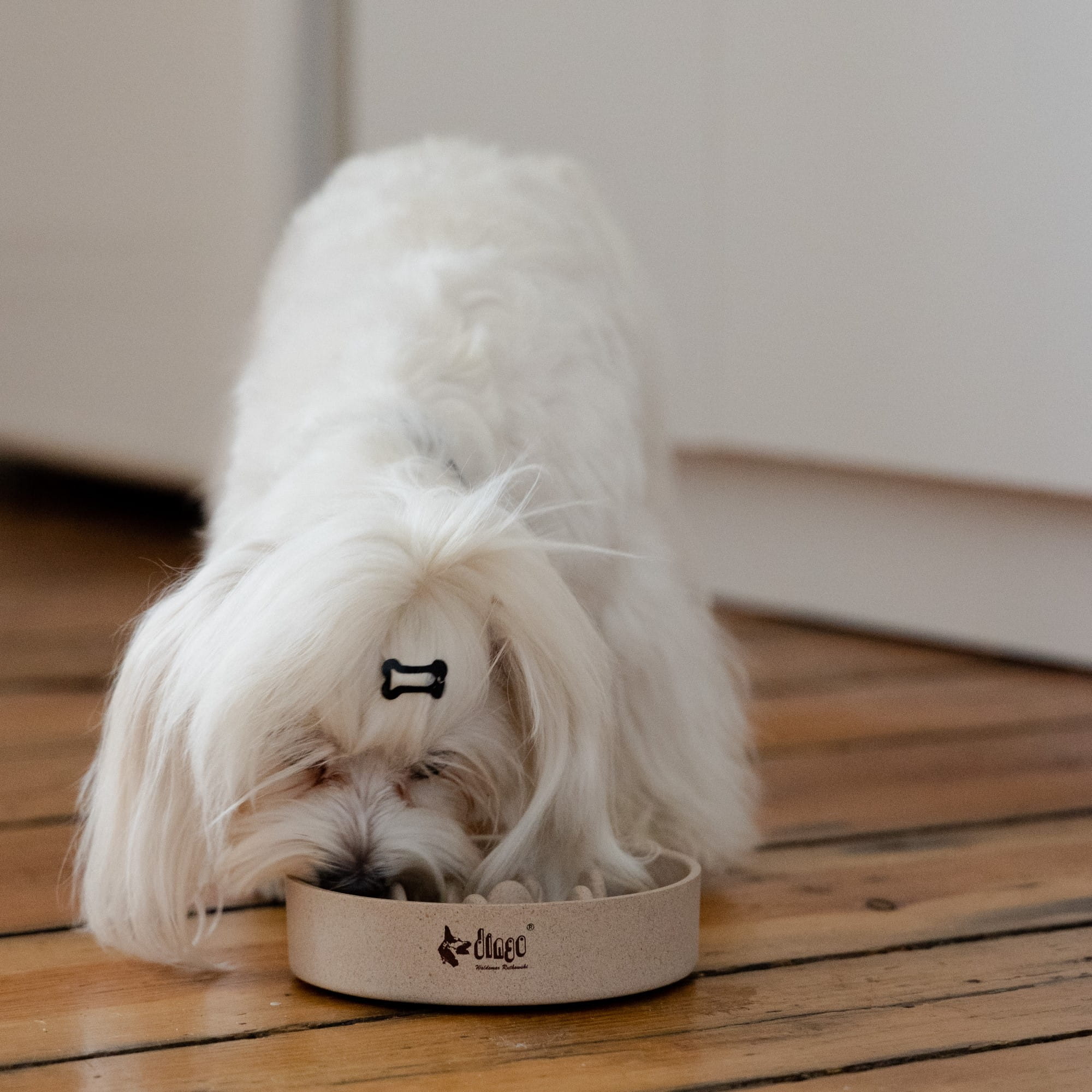 Бавно преглъщаща се бамбукова купа за кучета