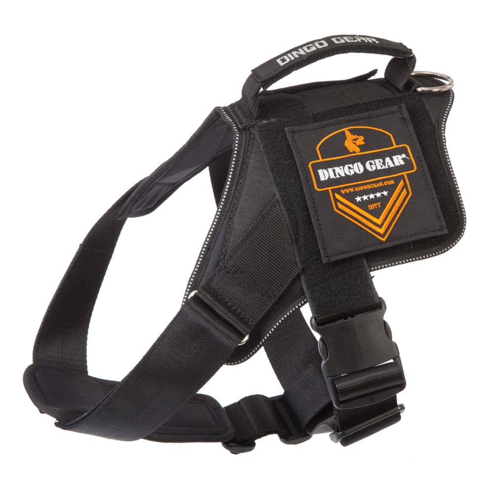 Dingo Gear – Многофункционален кучешки нагръдник за патрулиране и тактическо обучение
