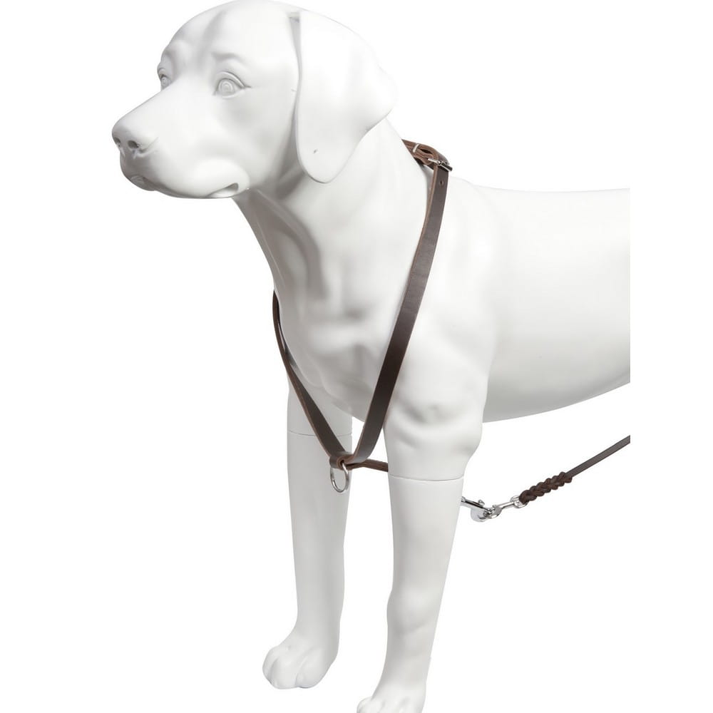 Dingo Gear – Ham de urmă din piele naturală, culoare maro