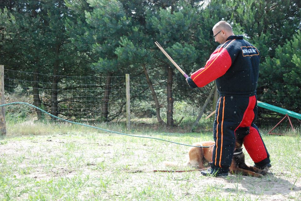 Dingo Gear – Costum de protecție completă pentru mușcătură (full bite)