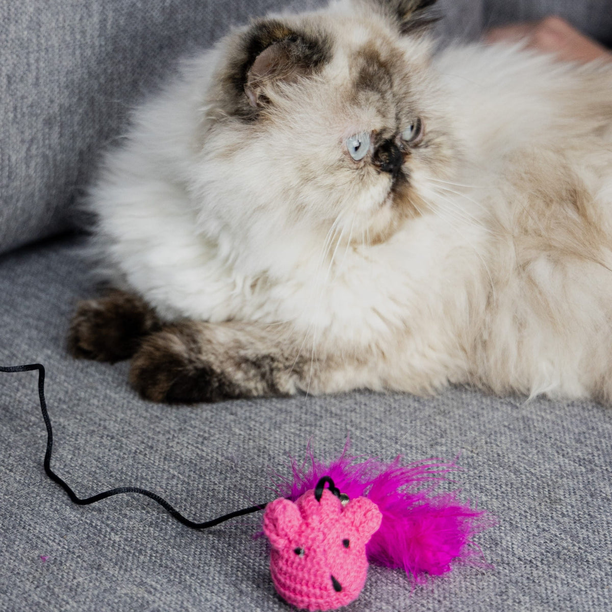 Играчка за котка – въдица с вълнена мишка, розова