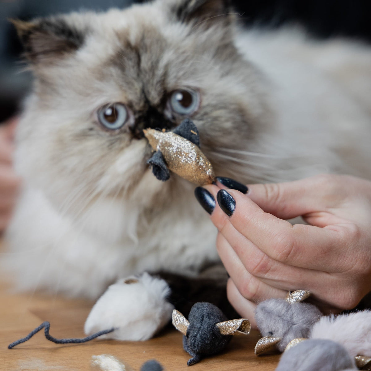 Комплект от 10 бляскави котешки мишки