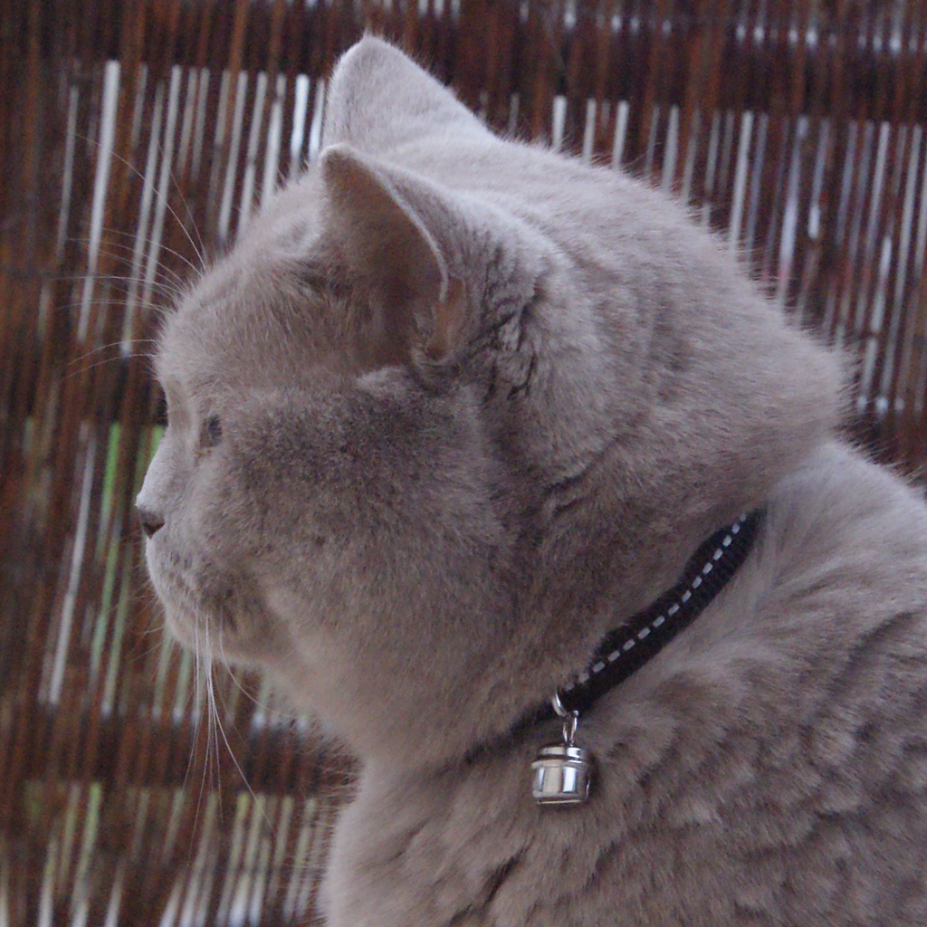 Регулируема яка със светлоотразителни елементи