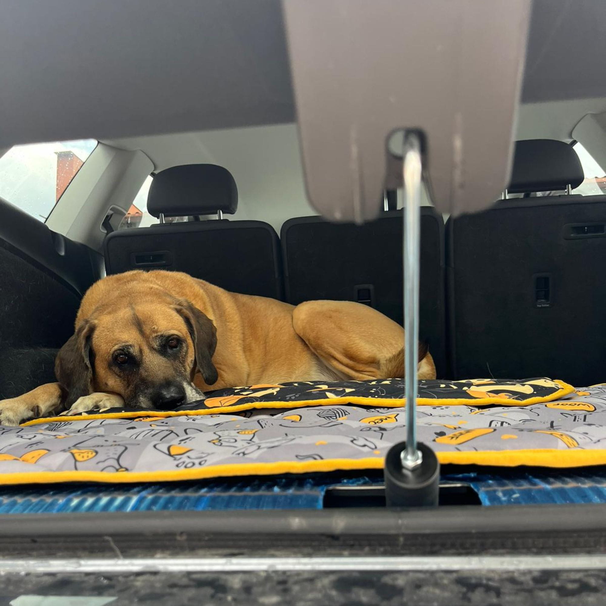 Блокатор за вентилация на автомобил