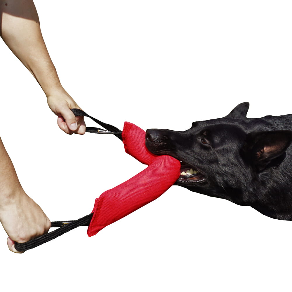 Dingo Gear – Jucărie tug din Nylcot cu două mânere