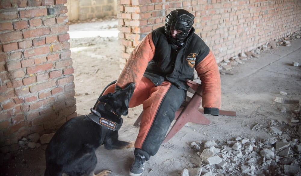 Dingo Gear – Costum de protecție completă pentru mușcătură (full bite)