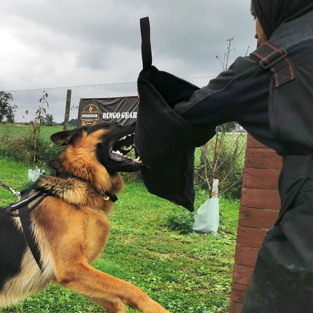 Dingo Gear – manșon exterior pentru figurant din Nylcot, duritate SOFT