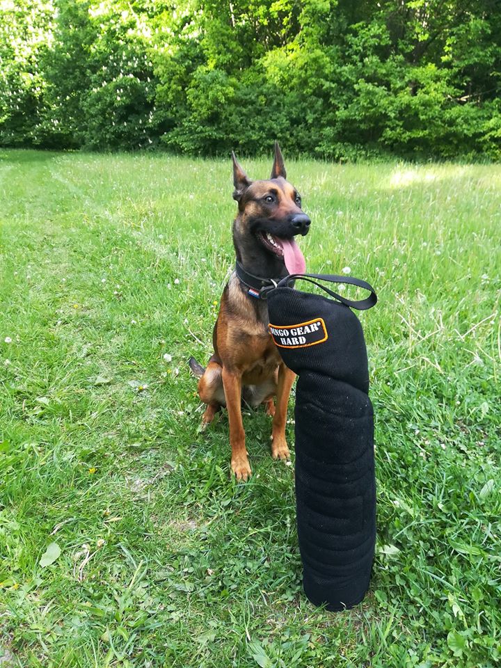 Dingo Gear – manșon exterior pentru figurant din Nylcot, duritate HARD
