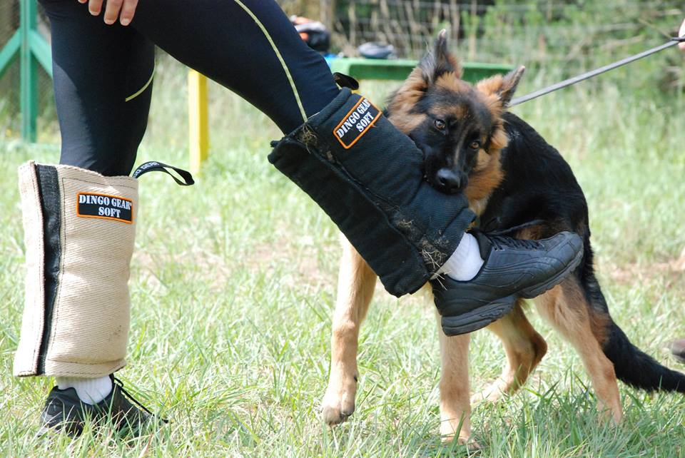 Dingo Gear – manșon scurt de picior pentru dresaj din iută, duritate SOFT