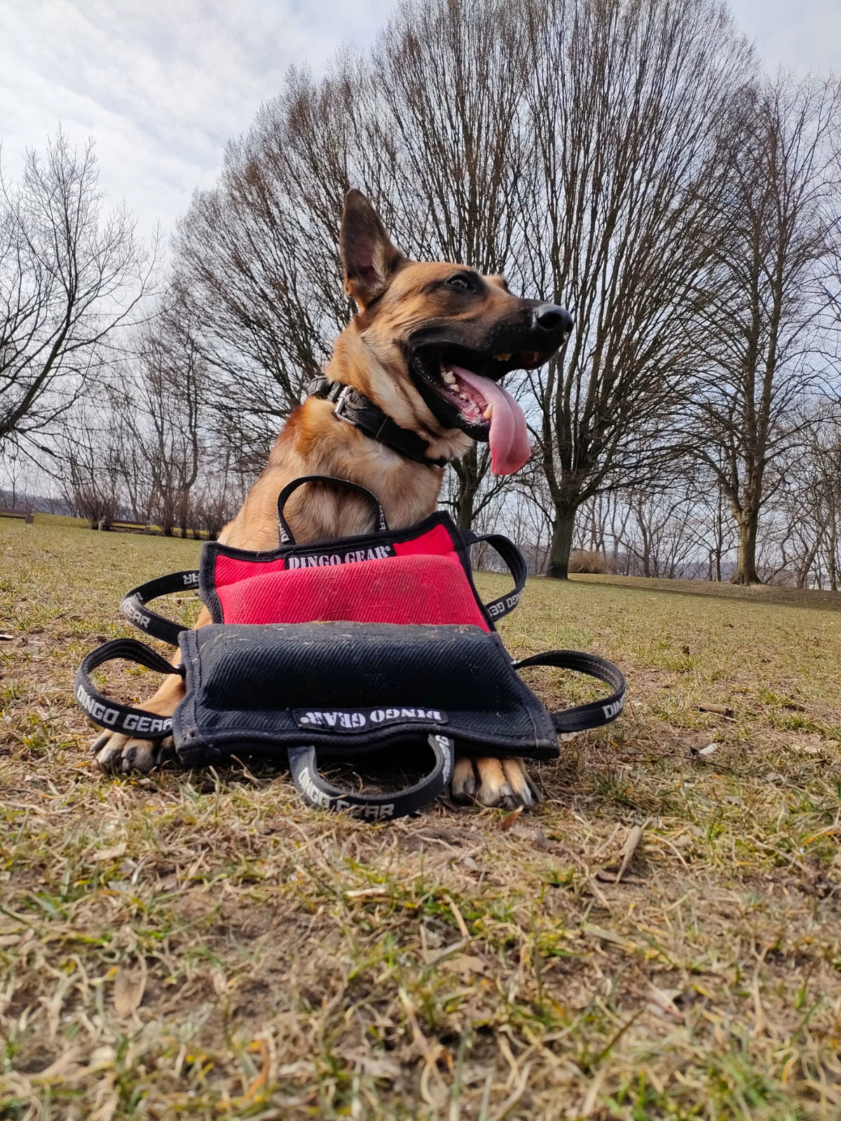 Dingo Gear – мек клин за хапане Nylcot, размер MEDIUM