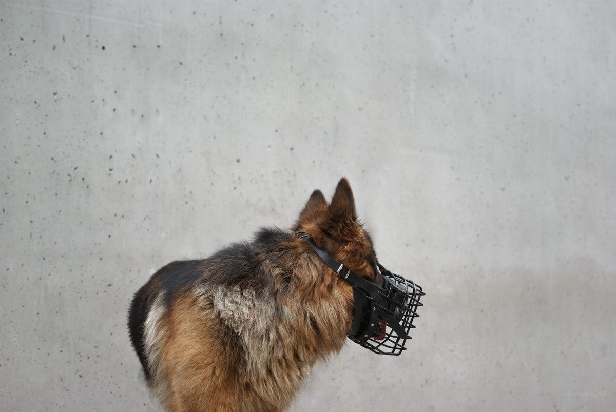 Dingo Gear K-9 физиологичен намордник за немска овчарка