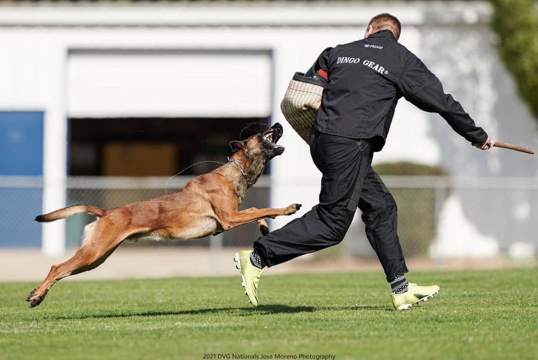 Dingo Gear – Geacă de antrenament super-ușoară din rip-stop