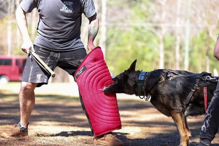 Dingo Gear – дълъг ръкав за тренировка, изработен от Nylot, твърдост HARD