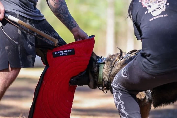 Dingo Gear – дълъг ръкав за тренировка, изработен от Nylot, твърдост HARD