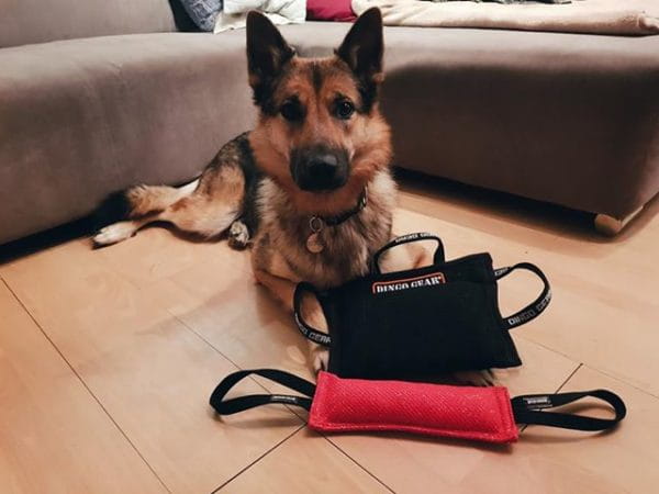 Dingo Gear – мек клин за хапане Nylcot, размер MEDIUM