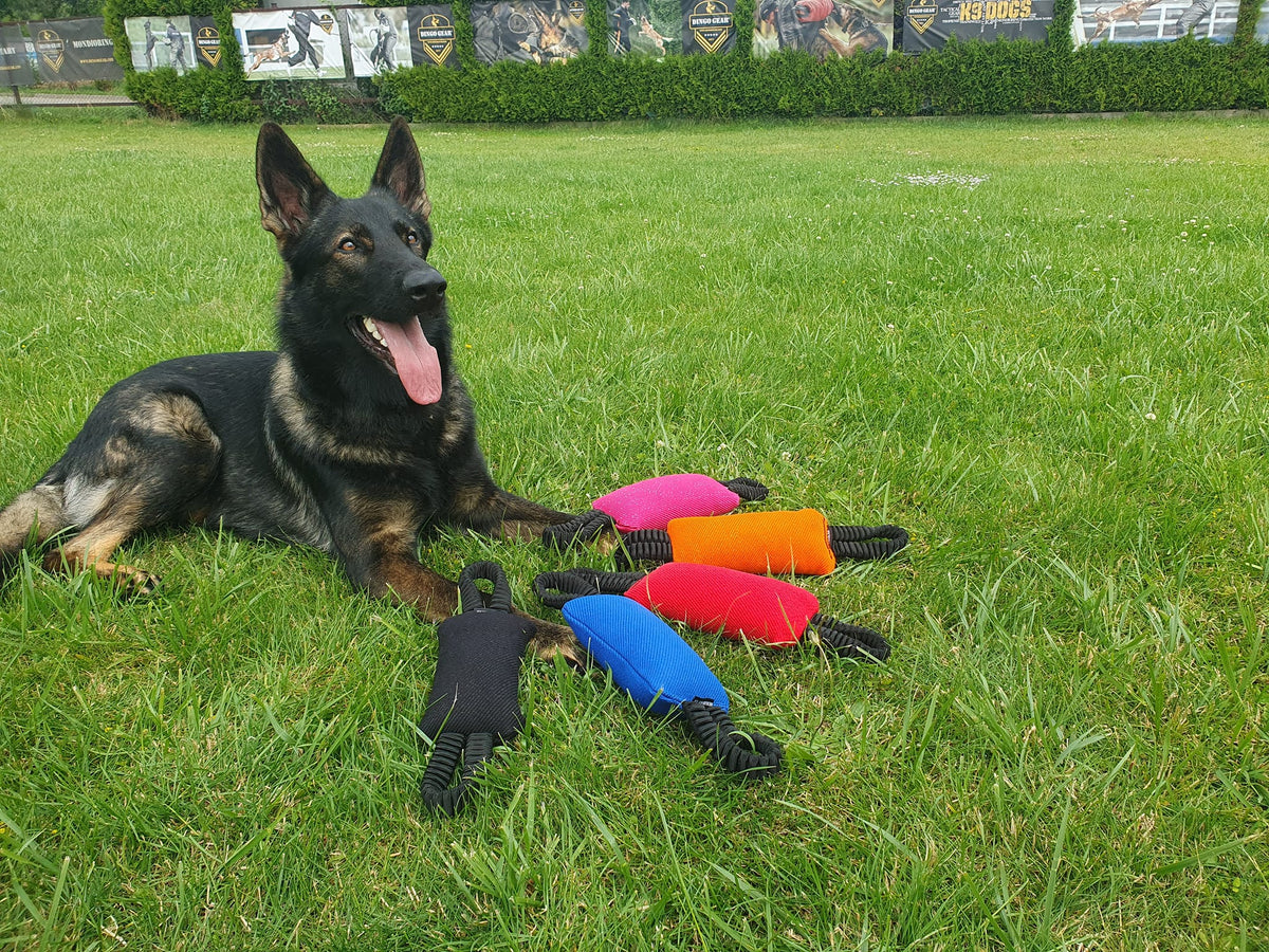 Dingo Gear – Jucărie tug cu două mânere elastice (bungee), din Nylcot