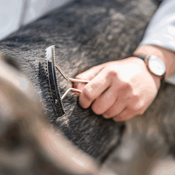 Гребло за кучета – никелирана стомана