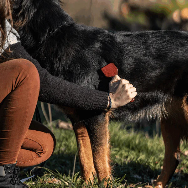 Гребло за куки – 2 реда, стоманени зъбци 20 мм