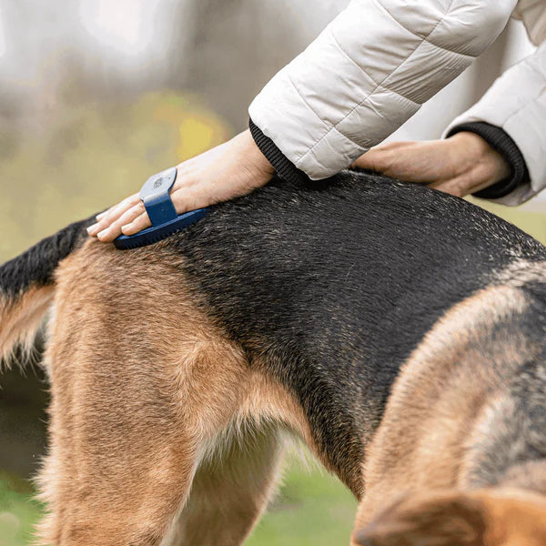 Гребен за къри, овален – гумен, син, 125 x 80 мм