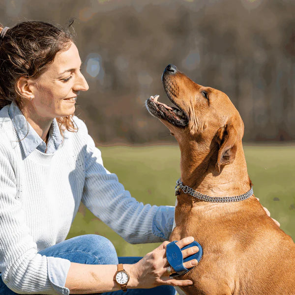 Гребен за къри, овален – гумен, син, 125 x 80 мм