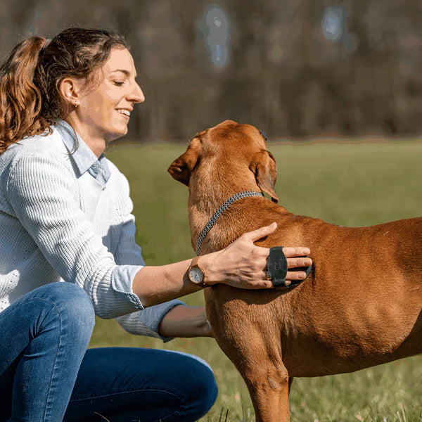 Гребен за къри, овален – гумен, черен, 125 x 80 мм