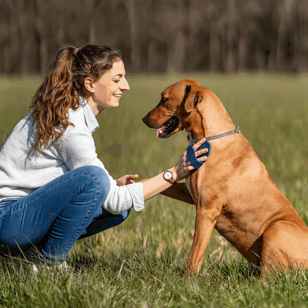 Гребен за къри, овален – гумен, син, 150 x 100 мм