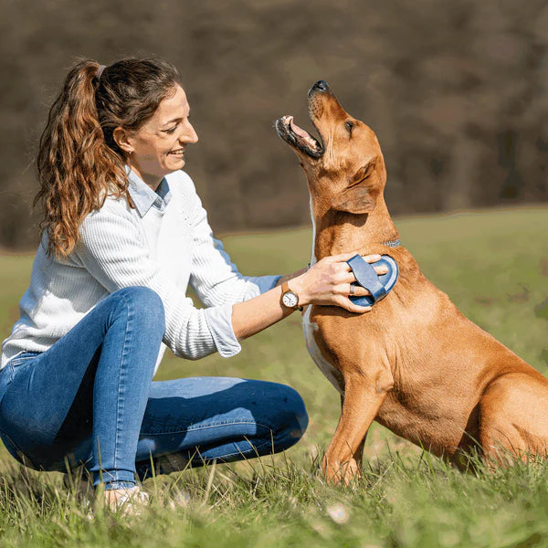 Гребен за къри, овален – гумен, син, 150 x 100 мм