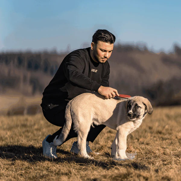 Четка за кучета, дълги влакна – фиксирани чрез огъване, метални зъби 27 мм