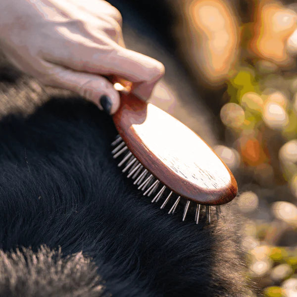 Четка за кучета, дебели влакна – фиксирани чрез огъване, метални зъби 20 мм
