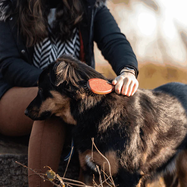 Четка за кучета, дебели влакна – фиксирани чрез огъване, метални зъби 20 мм