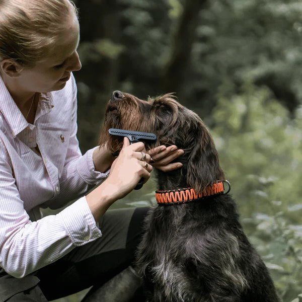 Гребло за кучета – стомана с покритие, 1 ред