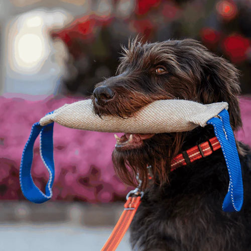 Bite Tug Sprenger – Юта