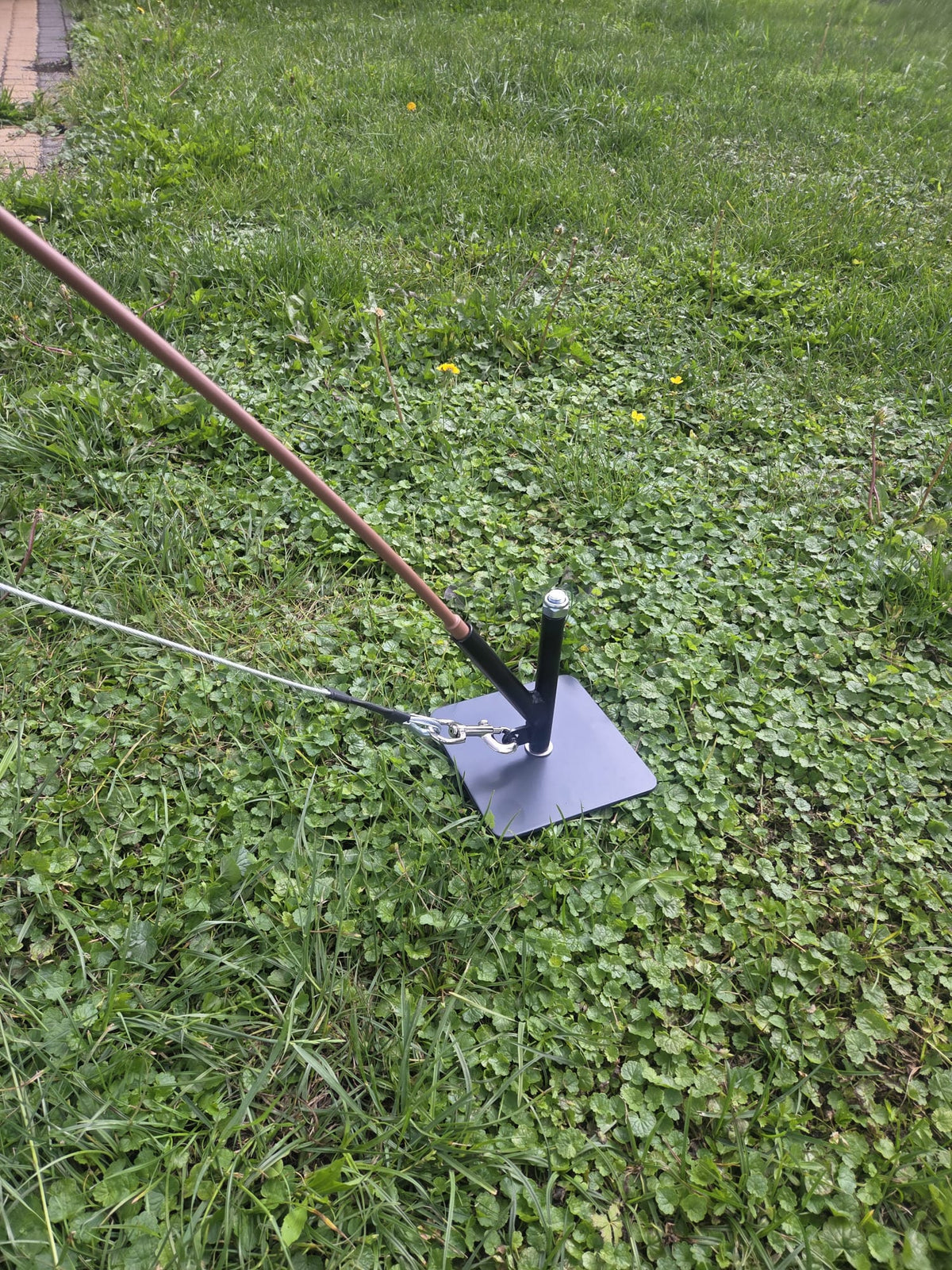 Dingo Gear – Flexi pole, undiță de dresaj pentru câini