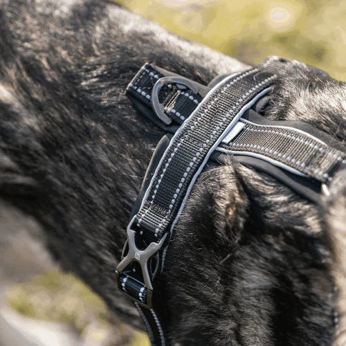 Нагръдник за кучета Sprenger Y-Harness