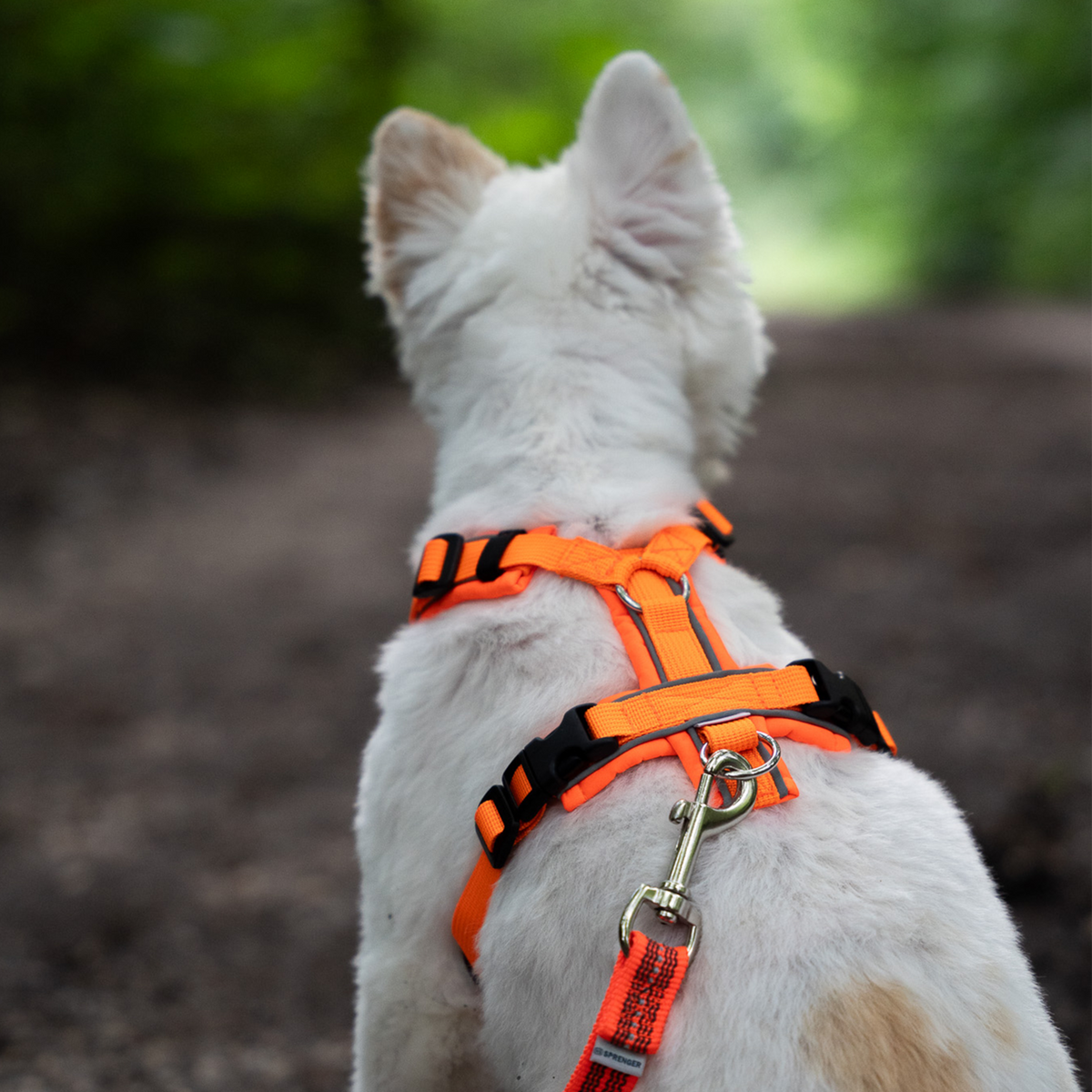 Нагръдник за кучета Y-Harness 2.0