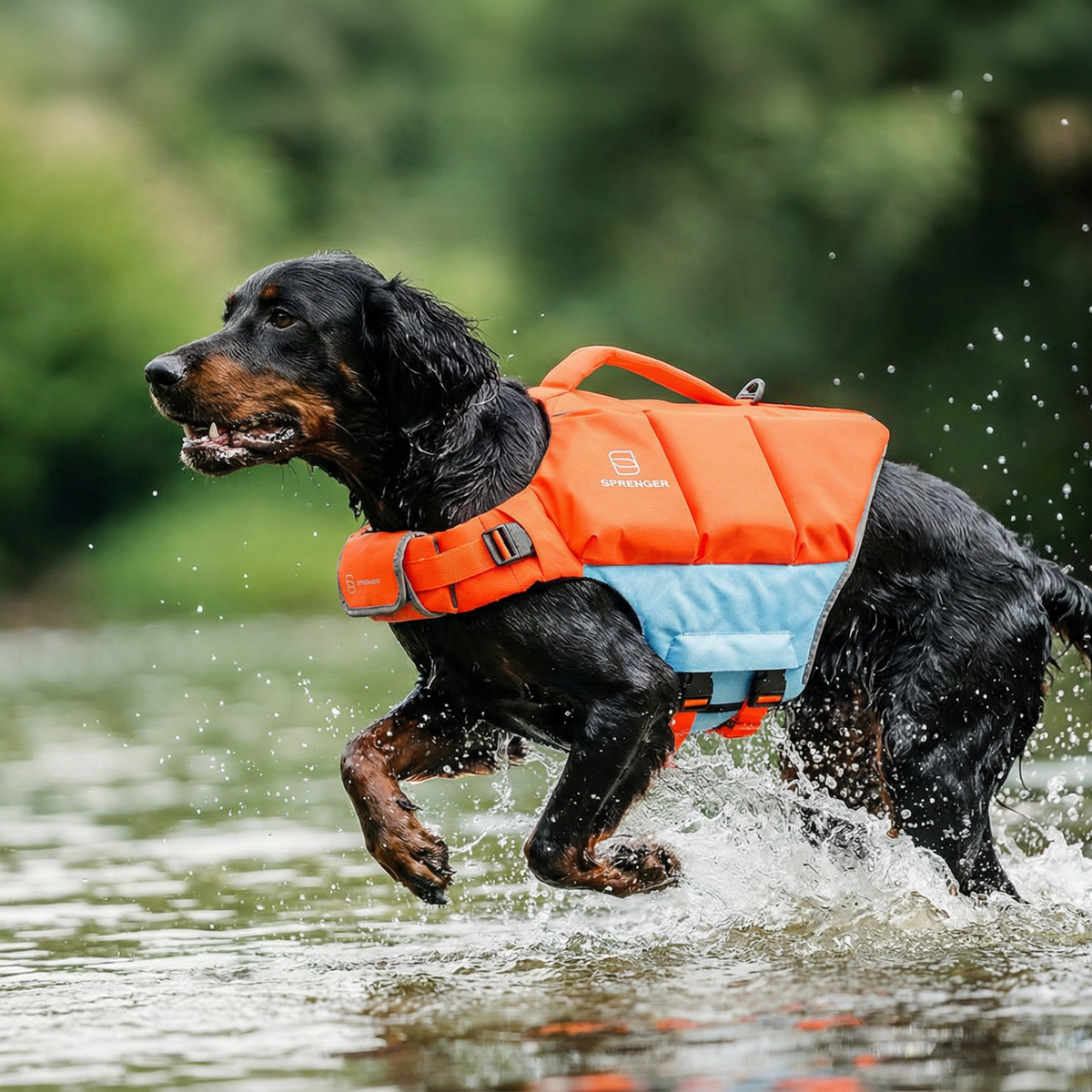 Vestă de salvare Sprenger pentru câini