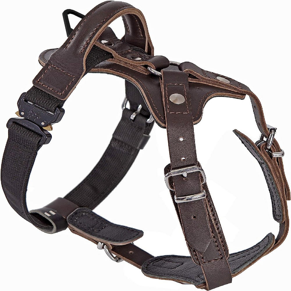 Dingo Gear – Професионален кожен колан с катарама COBRA – здравина, безопасност, надеждност 