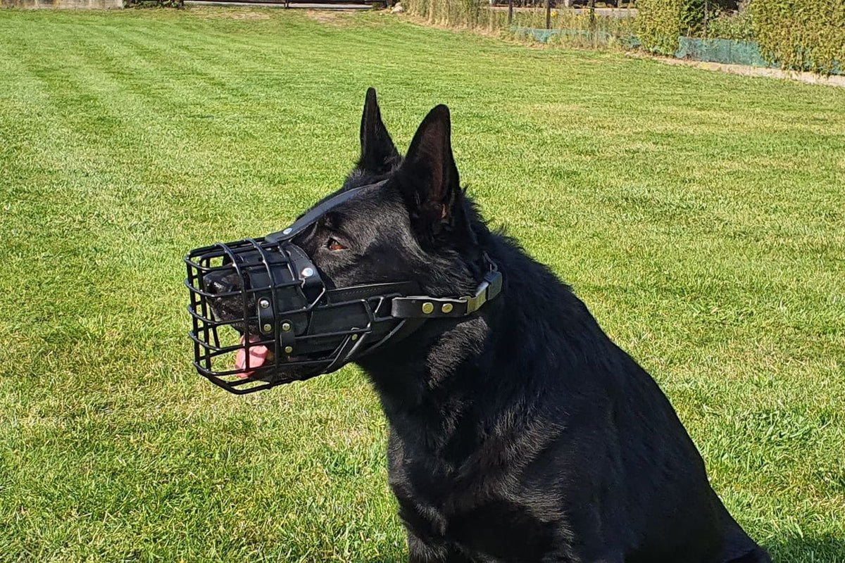 Dingo Gear K-9 физиологичен намордник за немска овчарка