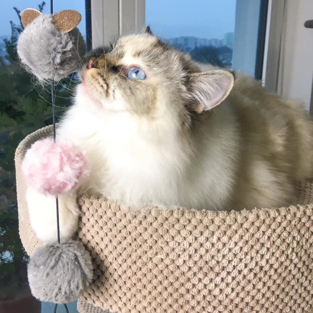 Въдица за риболов Glamour Cat с помпони