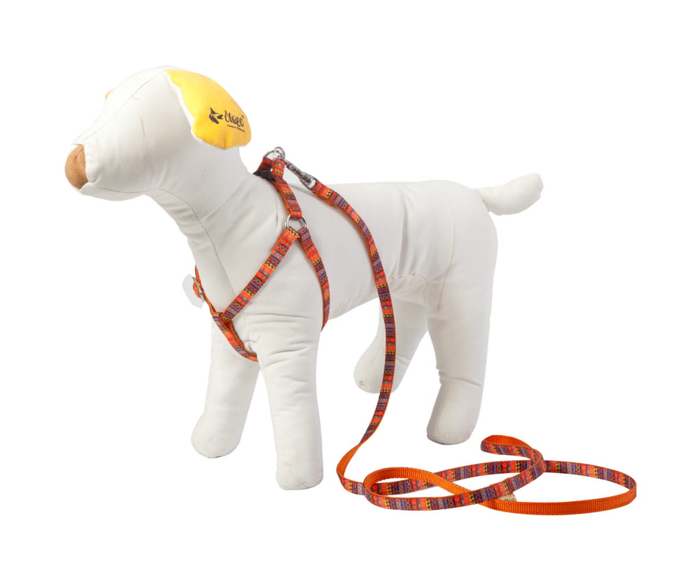 Каишка за малки кучета и котки Америка