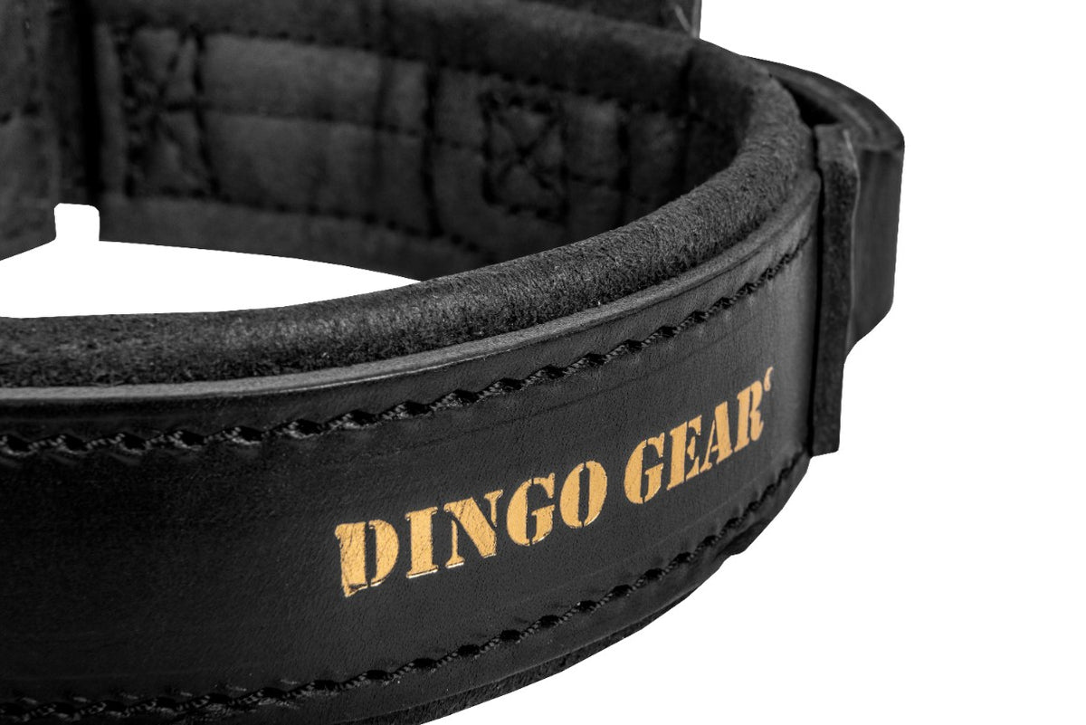 Dingo Gear – DRAGO Collar – Кожен нашийник K9 с дръжка за професионално обучение