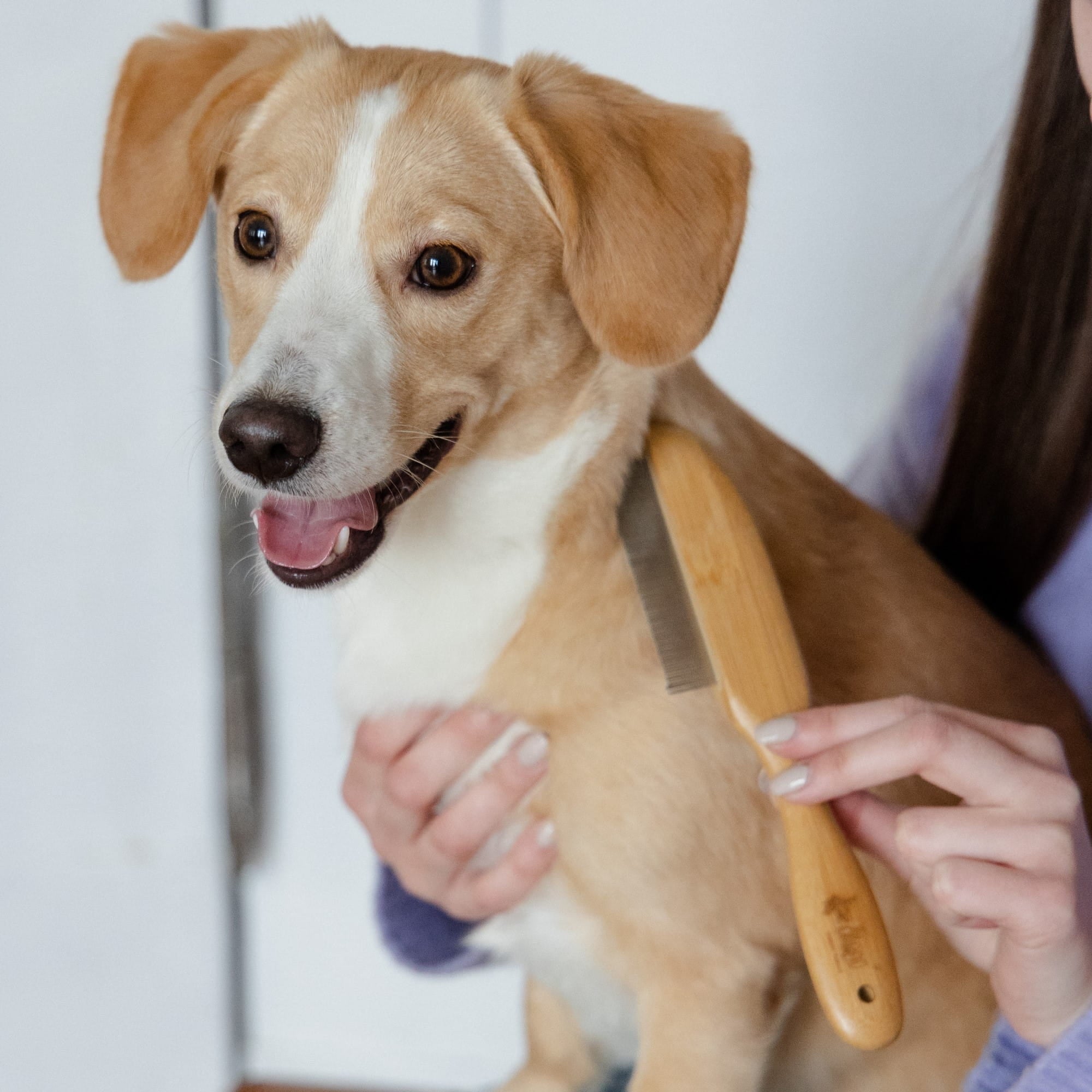 Гребен с бамбукова дръжка и въртящи се зъби (31)