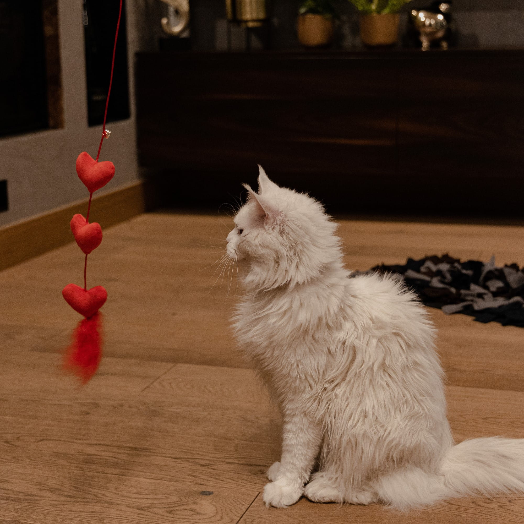 Въдица за котки, които обичат