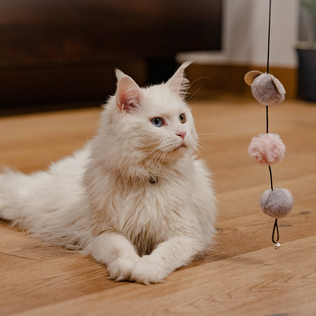 Въдица за риболов Glamour Cat с помпони