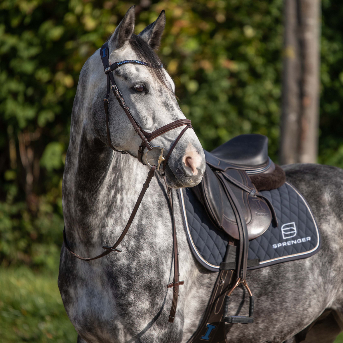 Zăbală Dynamic RS Hunter Jumper cu inele D, 14 mm, cu două articulații