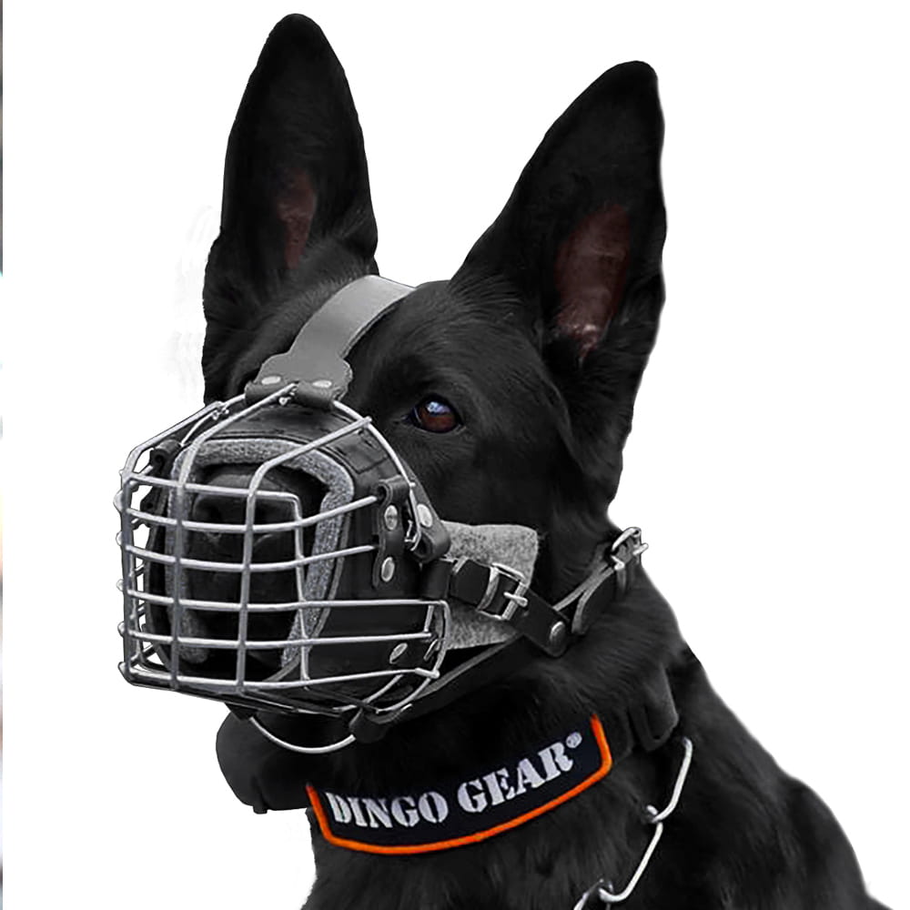 Dingo Gear – Намордник за борба и обучение – за служебни и работни кучета