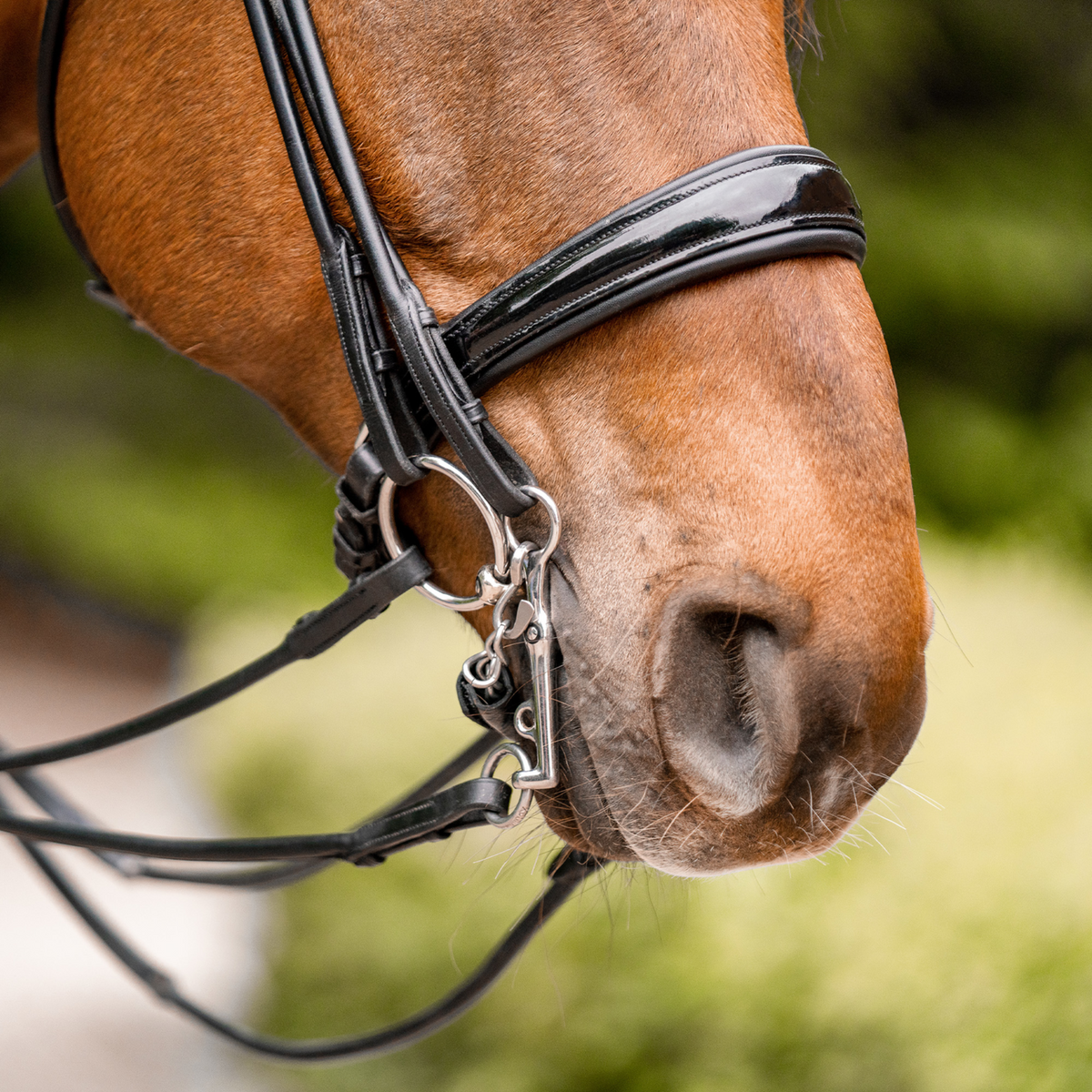 Bridon Dynamic RS 14 mm, cu două articulații